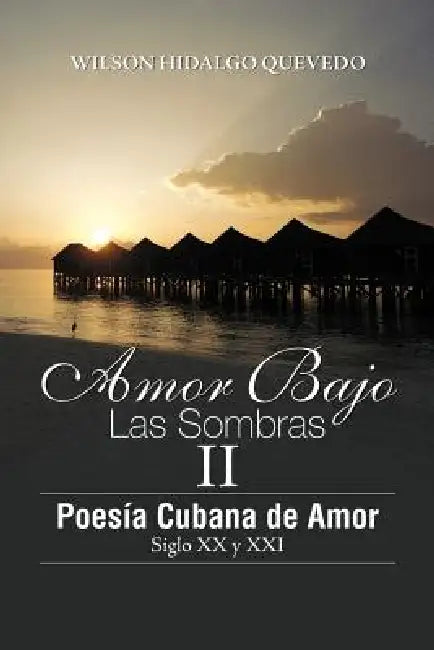Buy Amor Bajo Las Sombras II (English, Wilson Hidalgo Quevedo) โ BookShops.in