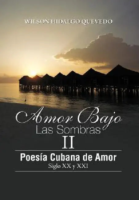Buy Amor Bajo Las Sombras II (English, Wilson Hidalgo Quevedo) โ BookShops.in