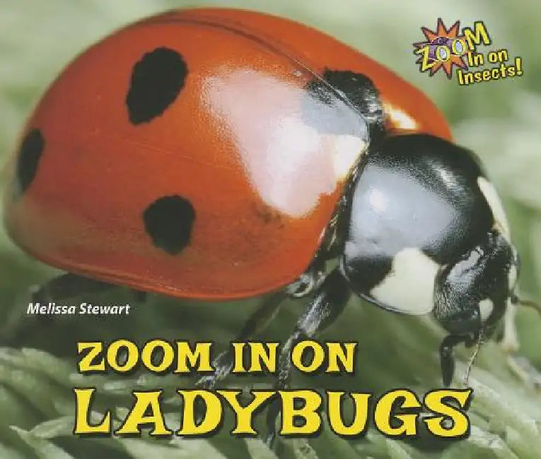 Buy Zoom in on Ladybugs (English, Melissa Stewart) — BookShops.in