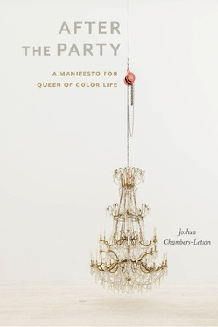 Buy After the Party (English, Joshua Chambers-Letson) — BookShops.in