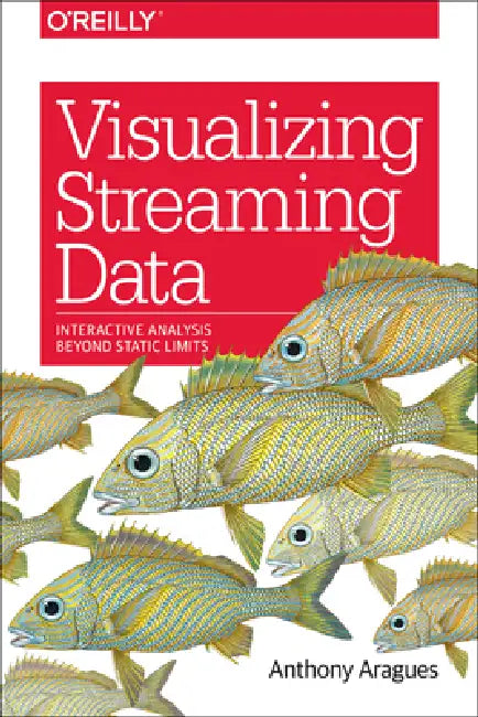 Buy Visualizing Streaming Data (English, Anthony Aragues) — BookShops.in