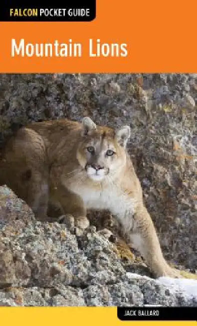 Buy Mountain Lions (English, Jack Ballard) — BookShops.in