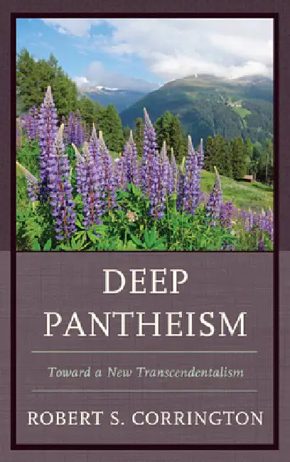 Buy Deep Pantheism (English, Robert S. Corrington) — BookShops.in