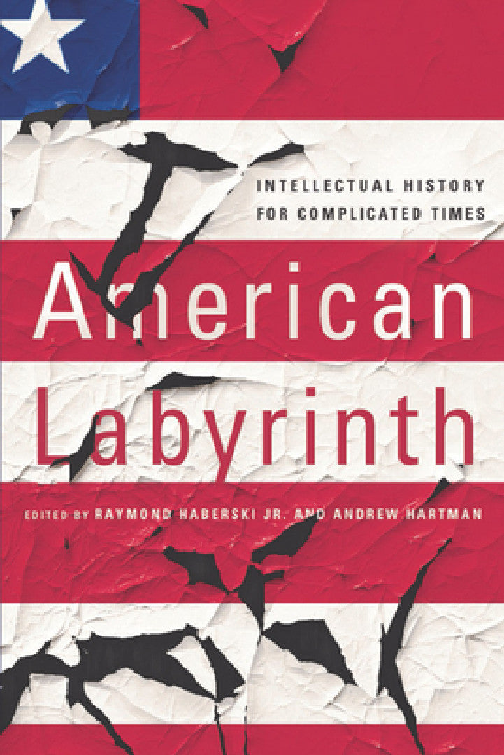 Buy American Labyrinth (English, Raymond Haberski | Andrew Hartman) — BookShops.in