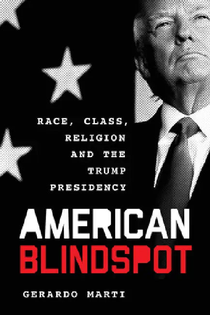Buy American Blindspot (English, Gerardo Martí) — BookShops.in