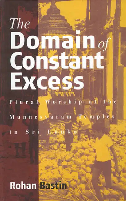 Buy The Domain of Constant Excess (English, Rohan Bastin) — BookShops.in