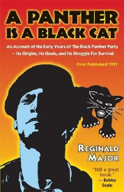 Buy A Panther Is a Black Cat (English, Reginald Major) — BookShops.in