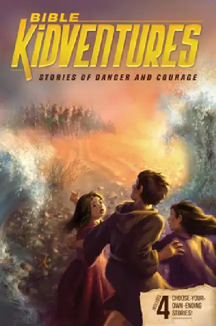 Buy Bible Kidventures Stories of Danger and Courage (English, Sheila Seifert | Jeanne Dennis) — BookShops.in