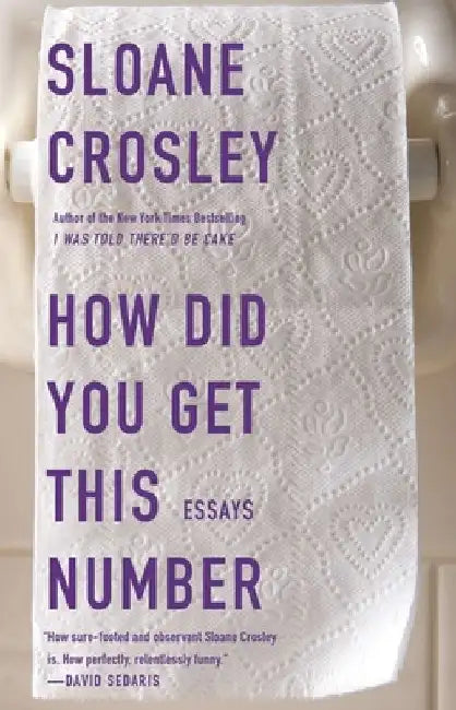 Buy How Did You Get This Number (English, Sloane Crosley) — BookShops.in