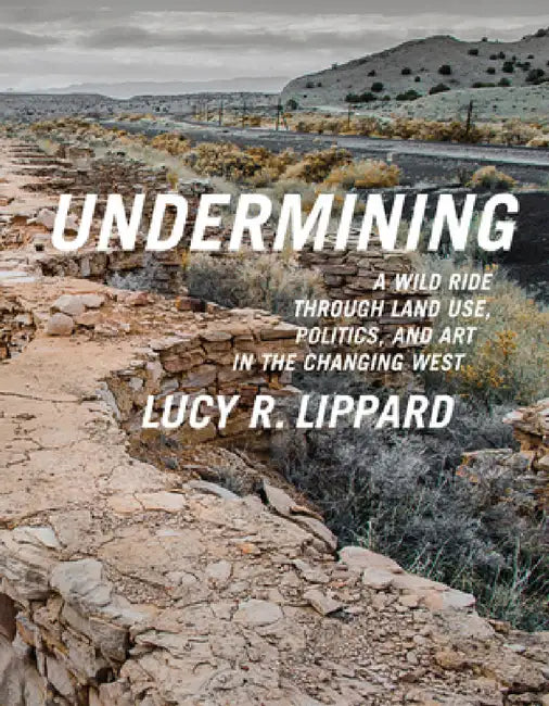 Buy Undermining (English, Lucy R. Lippard) — BookShops.in