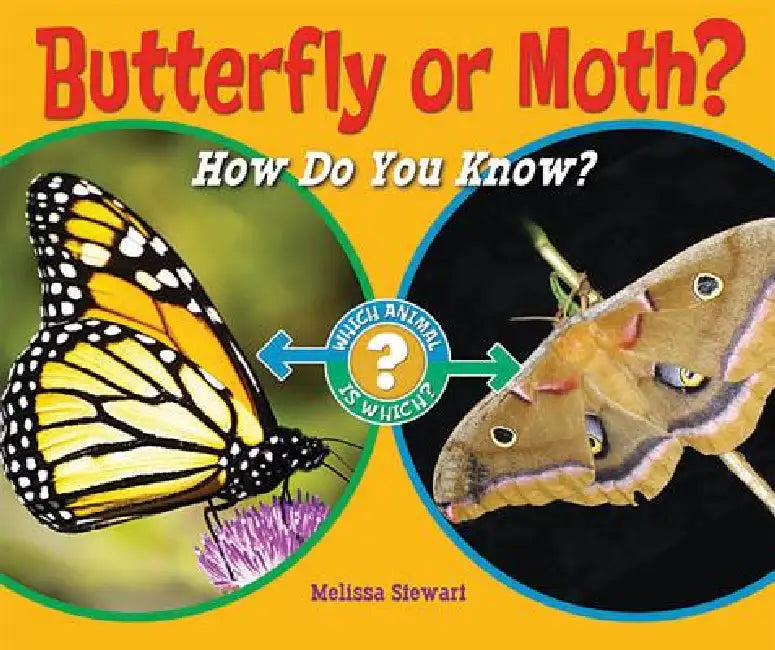 Butterfly or Moth? (English, Melissa Stewart)