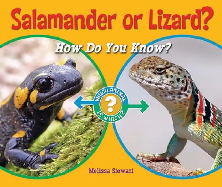 Buy Salamander or Lizard? (English, Melissa Stewart) — BookShops.in