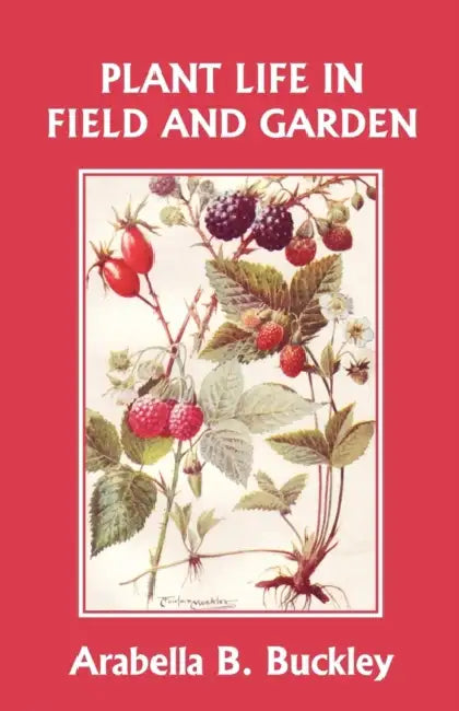 Buy Plant Life in Field and Garden (Yesterday's Classics) (English, Arabella Buckley) — BookShops.in