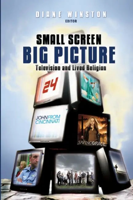 Buy Small Screen, Big Picture (English, Diane Winston) — BookShops.in