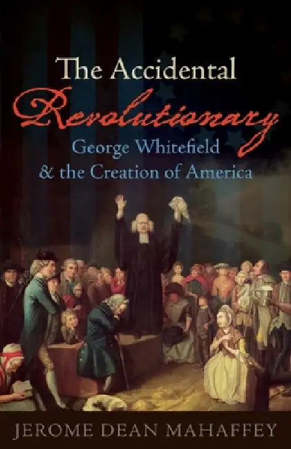 Buy The Accidental Revolutionary (English, Jerome Dean Mahaffey) — BookShops.in