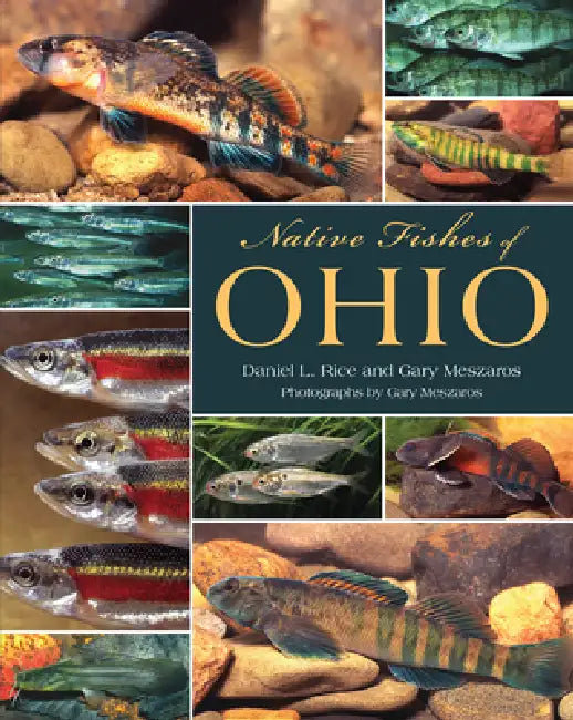 Buy Native Fishes of Ohio (English, Rice | Gary Meszaros | Gary Meszaros) — BookShops.in