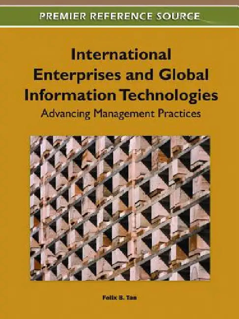Buy International Enterprises and Global Information Technologies (English, Felix B. Tan) — BookShops.in