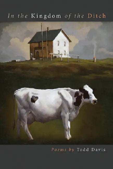Buy In the Kingdom of the Ditch (English, Todd Davis) โ BookShops.in