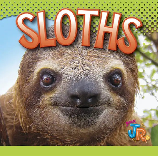 Buy Sloths (English, Marysa Storm) — BookShops.in