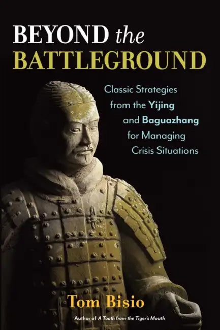 Buy Beyond the Battleground (English, Tom Bisio) — BookShops.in