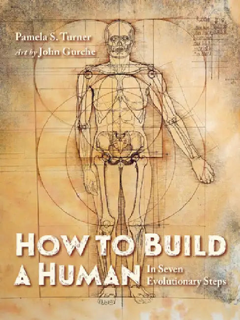 Buy How to Build a Human (English, Pamela S. Turner) — BookShops.in