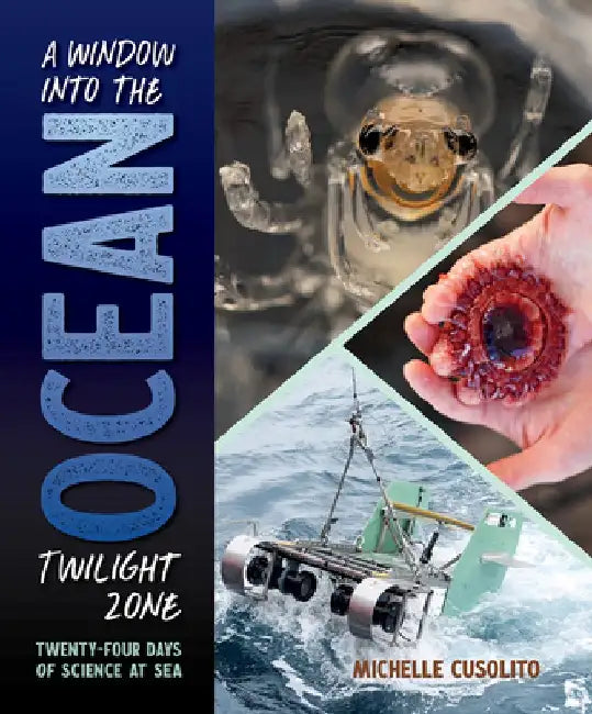 Buy A Window Into the Ocean Twilight Zone (English, Michelle Cusolito) — BookShops.in