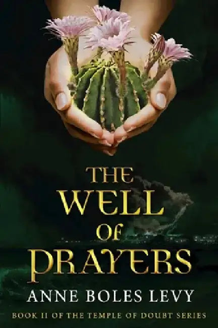 Buy The Well of Prayers (English, Anne Boles Levy) — BookShops.in