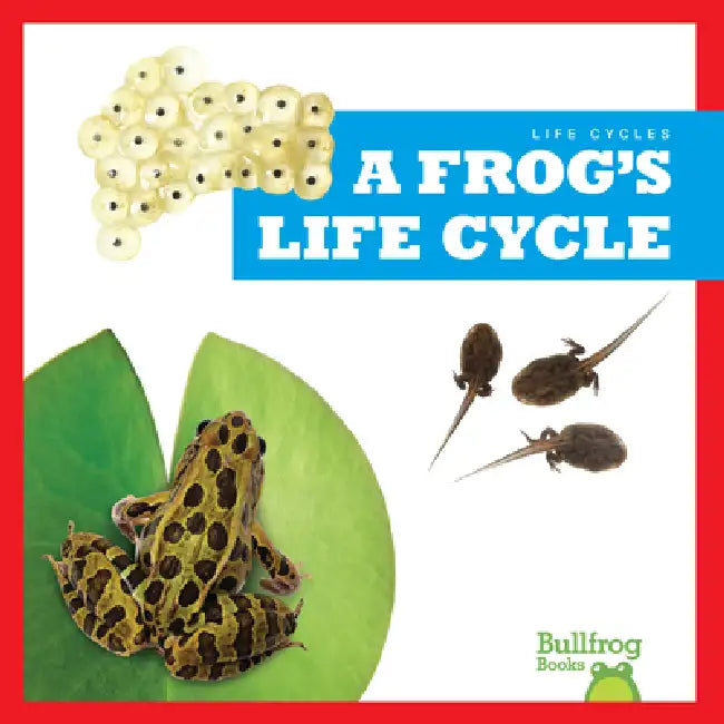 Buy A Frog's Life Cycle (English, Jamie Rice) — BookShops.in