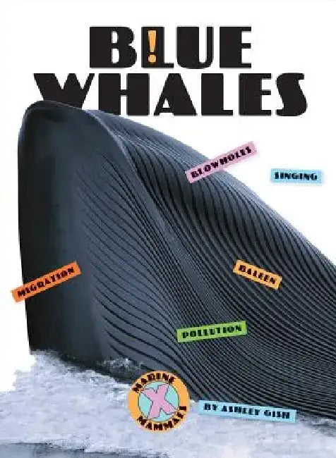 Buy Blue Whales (English, Ashley Gish) — BookShops.in