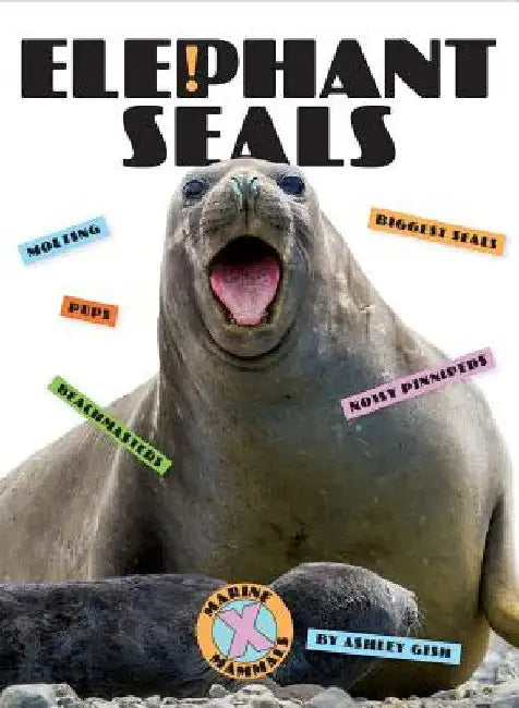 Buy Elephant Seals (English, Ashley Gish) — BookShops.in