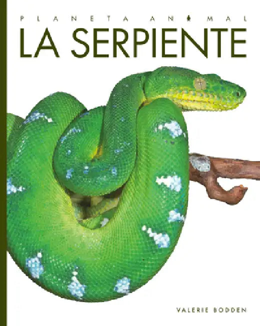 Buy La Serpiente (English, Valerie Bodden) — BookShops.in