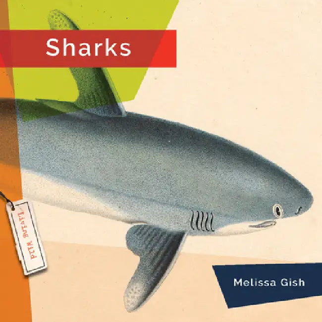 Buy Sharks (English, Melissa Gish) — BookShops.in