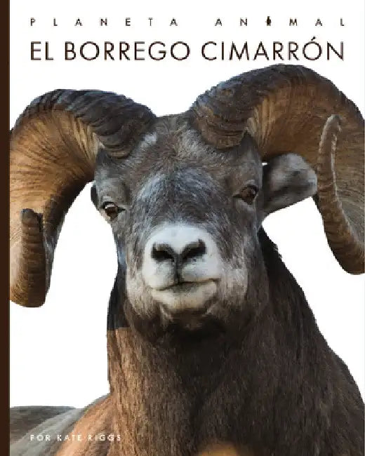 Buy El Borrego Cimarrón (English, Kate Riggs) — BookShops.in