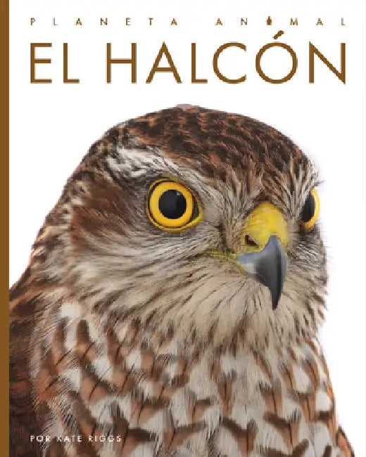 Buy El Halcón (English, Kate Riggs) — BookShops.in