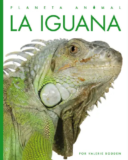 Buy La Iguana (English, Valerie Bodden) — BookShops.in