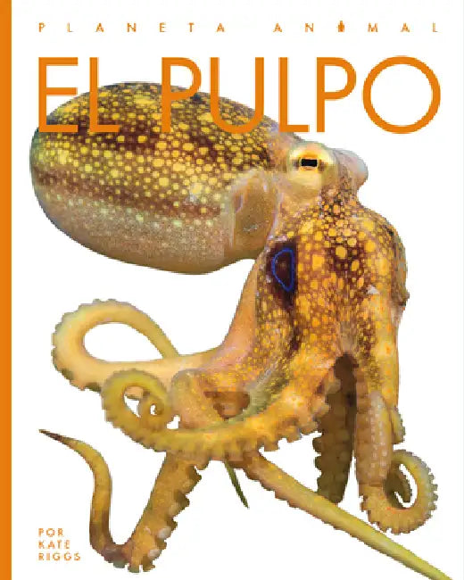 Buy El Pulpo (English, Valerie Bodden) — BookShops.in