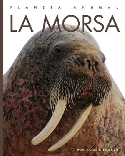 Buy La Morsa (English, Kate Riggs) — BookShops.in