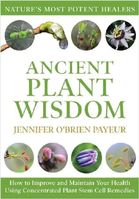 Buy Ancient Plant Wisdom (English, Jennifer O'Brien Payeur) — BookShops.in