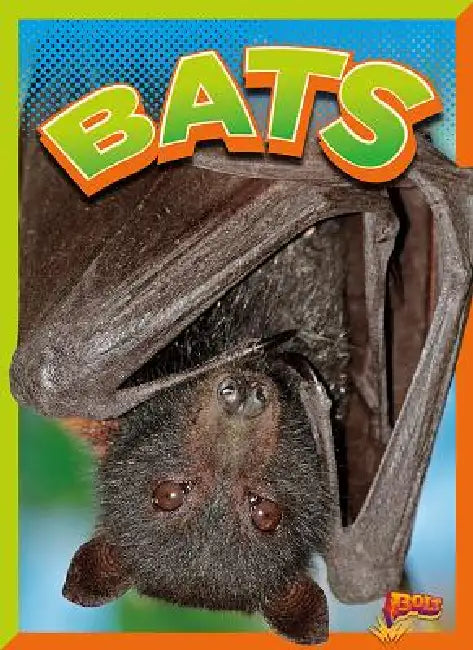Buy Bats (English, Gail Terp) — BookShops.in