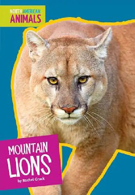Buy Mountain Lions (English, Rachel Grack) — BookShops.in