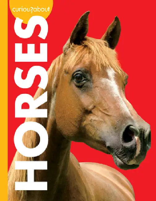 Buy Curious about Horses (English, Jill Sherman) — BookShops.in