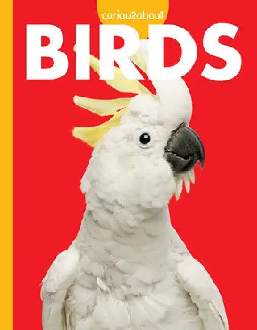 Buy Curious about Birds (English, Jill Sherman) — BookShops.in
