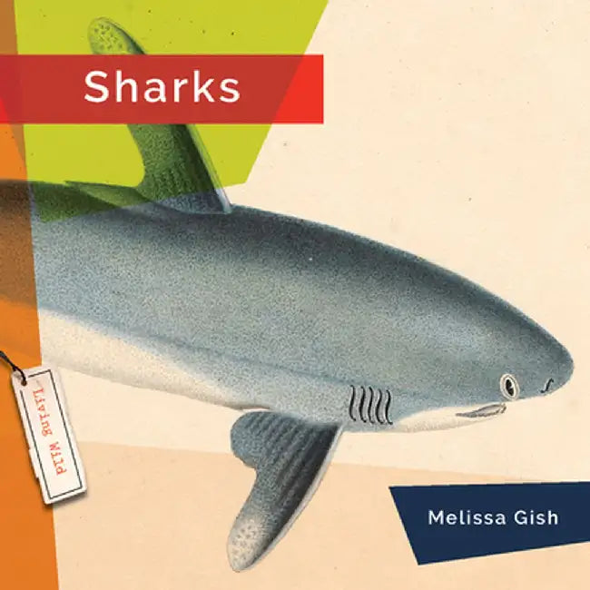 Buy Sharks (English, Melissa Gish) — BookShops.in