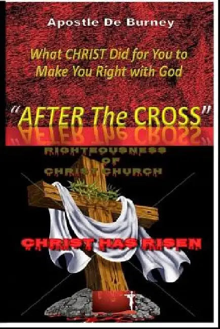 Buy "After the Cross" (English, Apostle Derrick Burney) โ BookShops.in