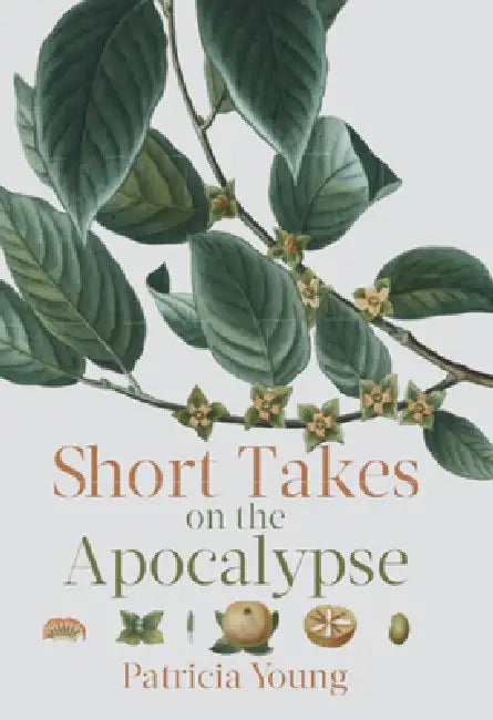 Buy Short Takes on the Apocalypse (English, Patricia Young) — BookShops.in