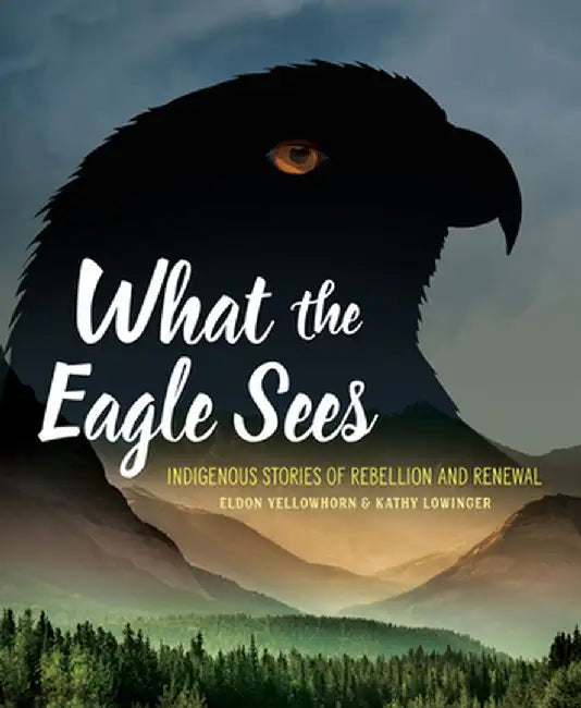 Buy What the Eagle Sees (English) — BookShops.in