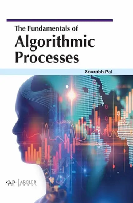 The Fundamentals of Algorithmic Processes view 2