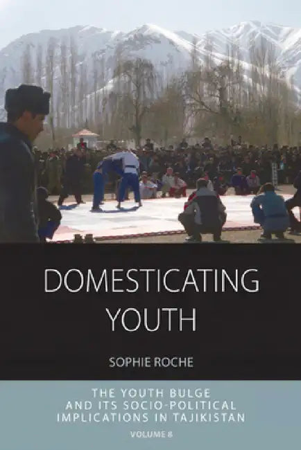 Buy Domesticating Youth (English, Sophie Roche) — BookShops.in