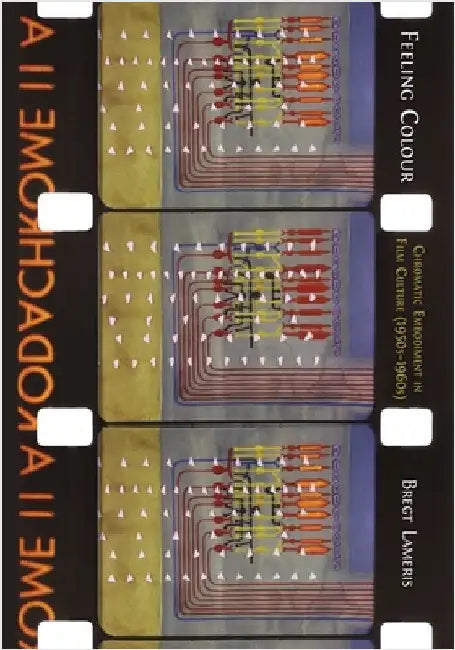 Buy Feeling Colour (English, Bregt Lameris) — BookShops.in