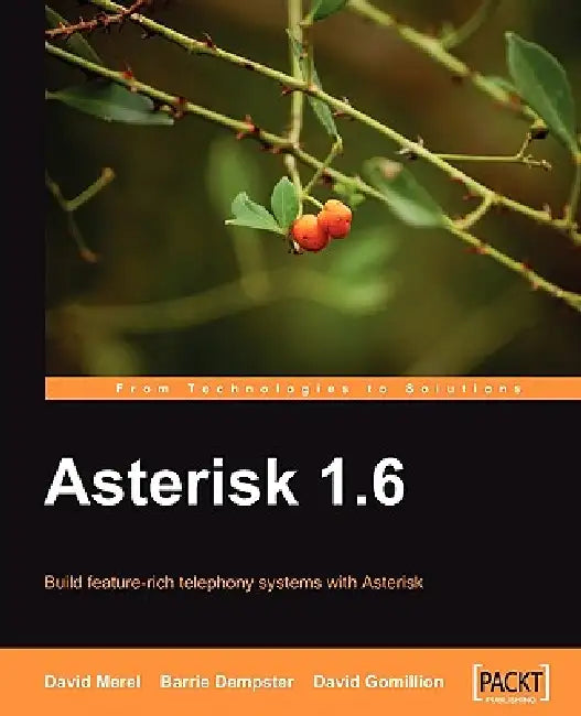 Buy Asterisk 1.6 (English, David Merel | Barrie Dempster | David Gomillion) — BookShops.in